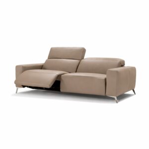 Dillon Loveseat (Recliner Options)